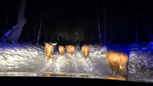 verdwaalde wandelaars1 brandweer rheden