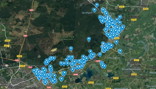 vindplaatsen japanse duizendknoop gemeente rheden