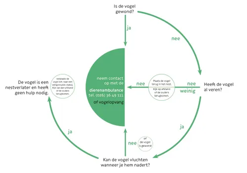 vogelbeslisboomcirkel fb