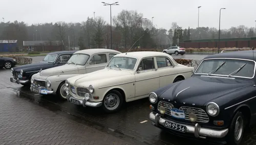 volvo klassieker vereniging snertrit 2024 dieren 3