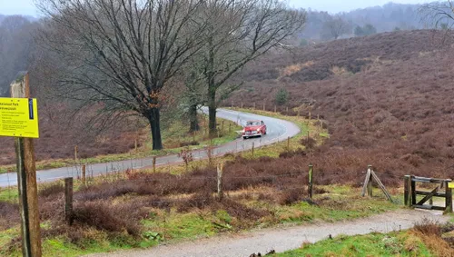 volvo klassieker vereniging snertrit 2024 dieren 4