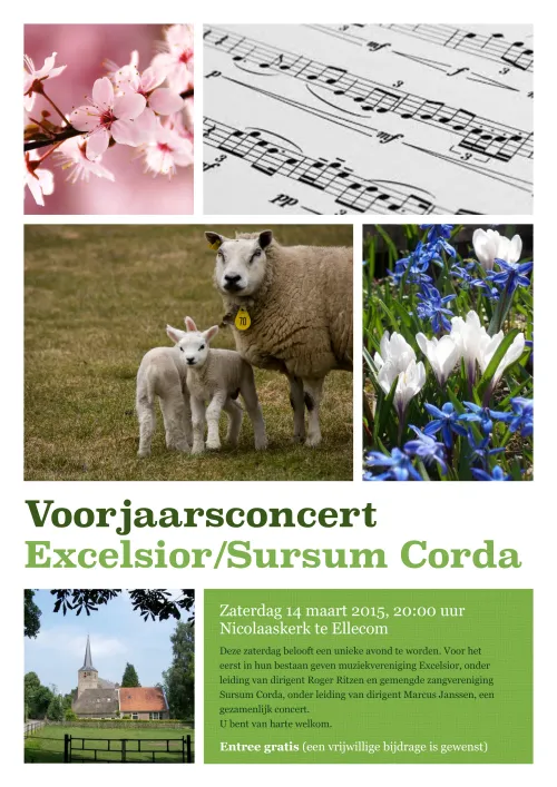 voorjaarsconcert2