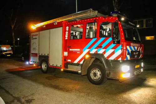 vreemde lucht dieren2 dennis van bemmel persbureau heitink