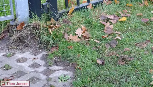 weteringstraat 25 11 17 002