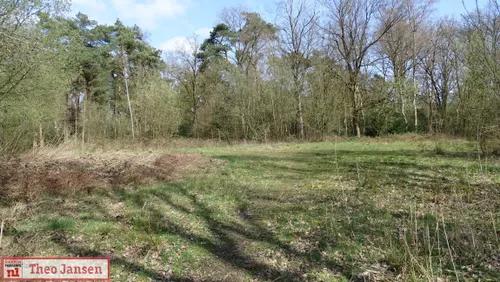 woningbouw imboslaan dieren lijkt mogelijk1