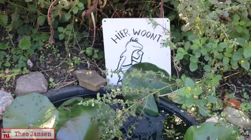 open dag in de dorpstuin rheden trekt bezoekers 07 09 2024 8