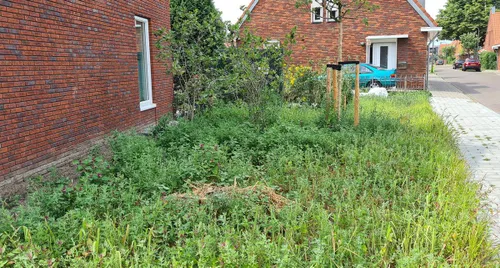 Dr schaepmanstraat 3 rheden.nieuws