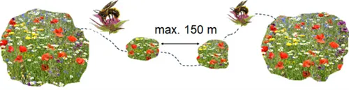 Bijenlint - IVN Oost-Veluwezoom