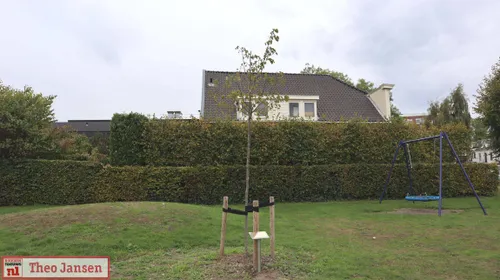 Plaquette onthuld bij herinneringsboom naast Oranjeplein 03-10-2025 (13)