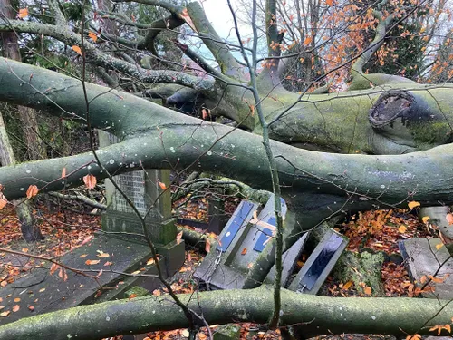 404360516 384435450606413 1803740000148882914 n