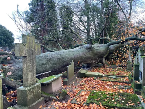 405658035 384435367273088 3941614334761186341 n