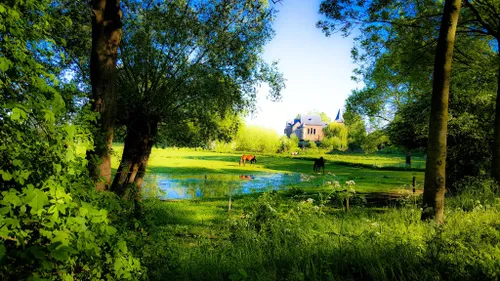 50023972 1127418980755148 4988160114037882880 o