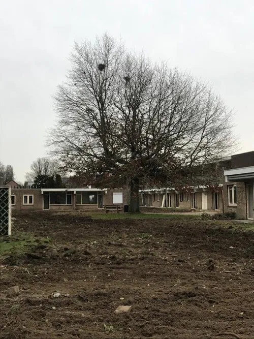 img 20210123 wa0033 2