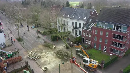 vlcsnap 2021 03 19 19h47m38s216