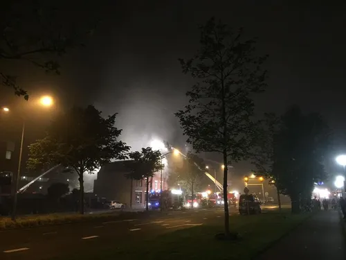 13339691 1052133084865585 2763652140368900688 n