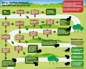 150505 welke kat past bij jou 300x240