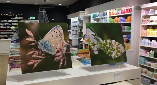 150619 dag van de fotografie