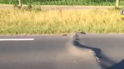 150702 wegdek roosendaal essen e1435849227965