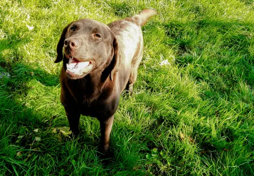 20230810 111844 2jpg klein