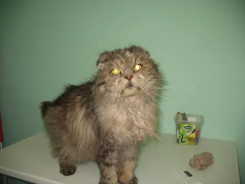 25 3eersteverdelingwegputte