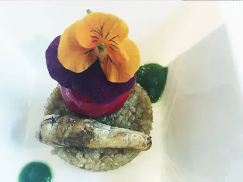 cdnnieuwsnlmediasites5520160717105505cdnnieuwsnlmedia20160630143947sprinkhaan snack 938ba2fae273a25554ddb2593a8a7d359905397e 0dfaf0e27445e312111cf4c9d1805b551c1202a9