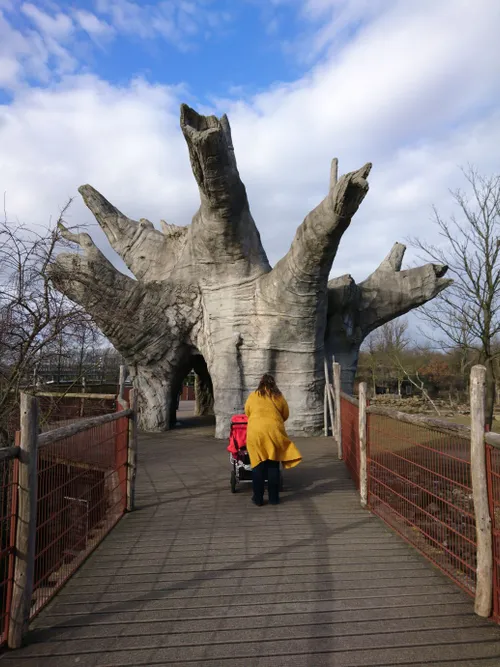 cebab7a7 69d8 4ae8 a562 ccd9b7413d35