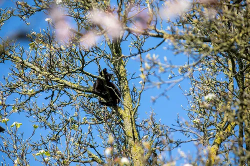 christian traets 20220321104421 0