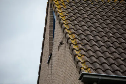 christian traets 20220627112832 0