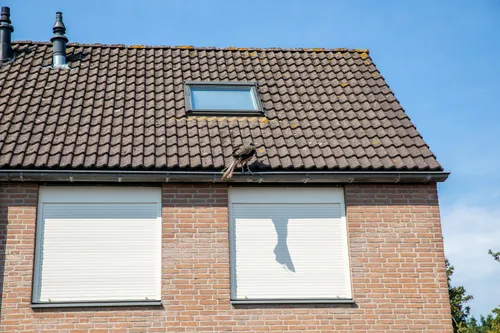 christian traets 20220825115147 0