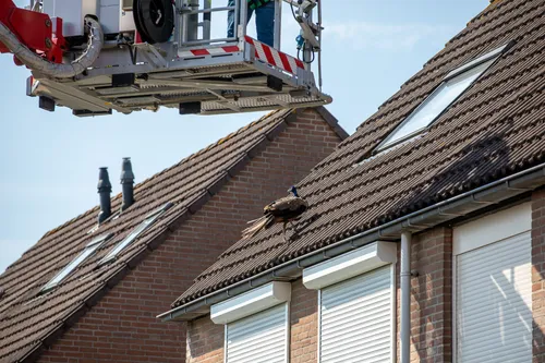 christian traets 20220825115147 4