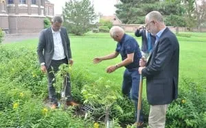 paterstuin gemeente planten bomen 300x187
