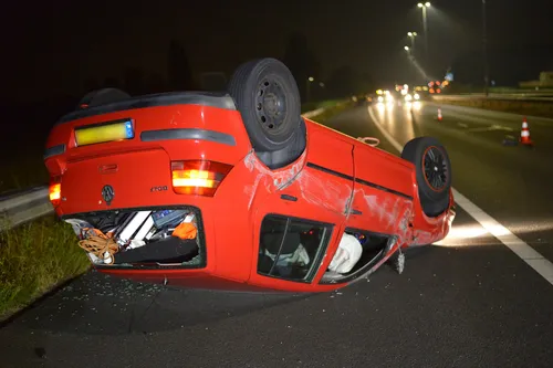 perry roovers 20220817013209 4