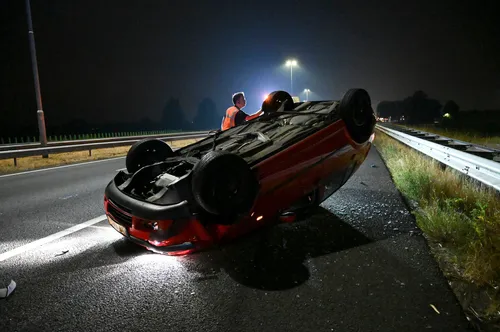 perry roovers 20220817013209 5