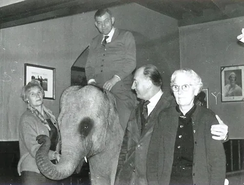 sjef op baby olifant foto fam boonen archief