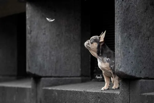 vievesm 7824 1024x683