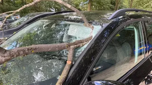 windstoten-tot-100-kilometer-per-uur-containers-waaien-op-autos-in-rotterdam (1)