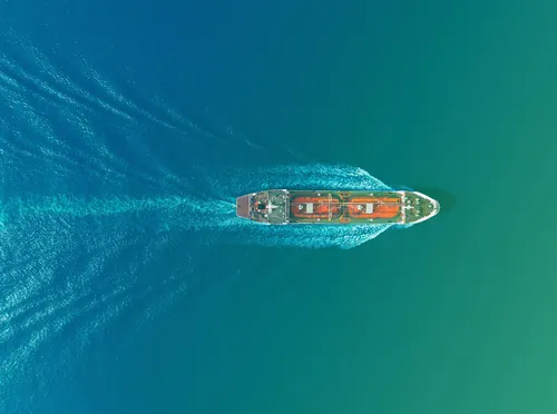 IMO considers adoption_inside pic_medium 1