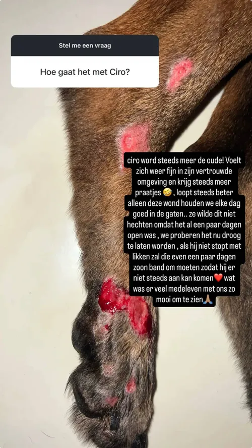 529584603_18515620603046847_8748141084600412234_n.