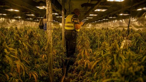 51438440657 bb83c1d1cc o