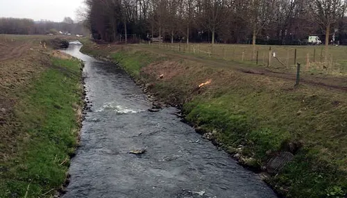 absbroeksbos glanis geleenbeek