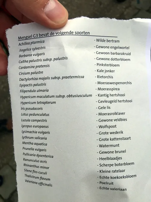 basia irland ice books 4 zaden