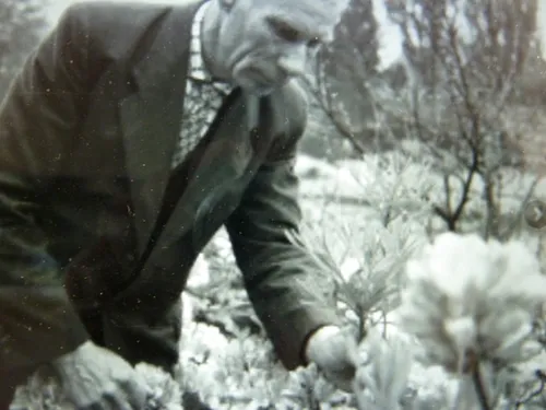 bergmans in bloementuin