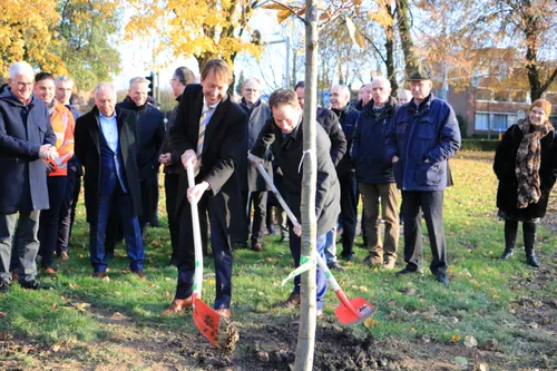 bessems en dritty planten boom