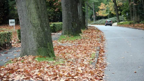 bladafval oud geleen 2017