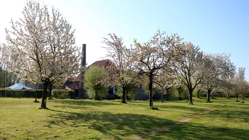 bloesem bij stadbroekermolen 2021