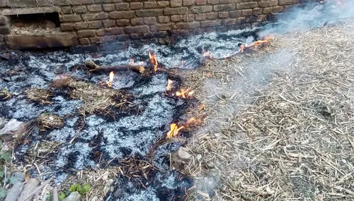 brand kasteelpark born 2