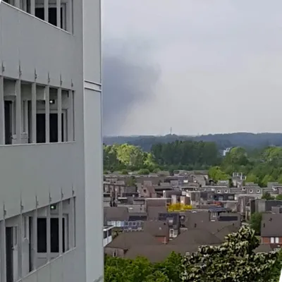 brand susteren smile platics 1