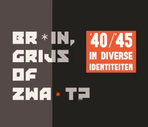 bruin grijs of zwart