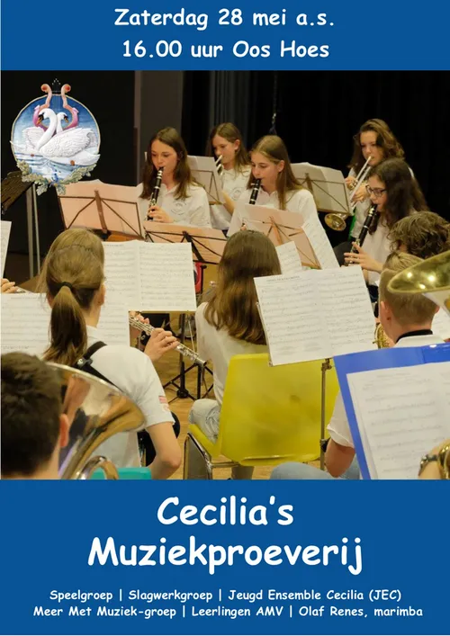 cecilia muziekproeverij1