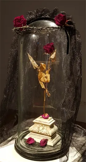 de salon 2018 4 sint rosa